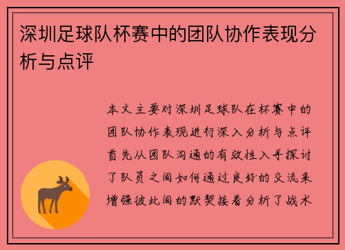 深圳足球队杯赛中的团队协作表现分析与点评