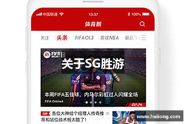 关于SG胜游
